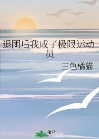 退团后我成了极限运动员类似