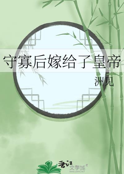 四阿哥当皇上