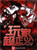 玩家超正义全本TXT