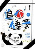 追个锤子txt百度