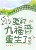 清穿九爷娇娇福晋太好孕