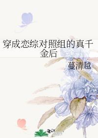 穿成恋综Np文