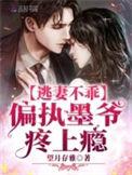 替嫁逃妻墨先生别闹作者杍棉