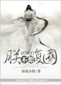 朕不想复国by窈窕小妖讲的什么