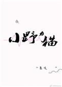 小野猫歌词