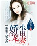 重生九零小娇媳免费阅读