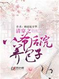 清穿八爷府养包子