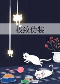 顶级伪装