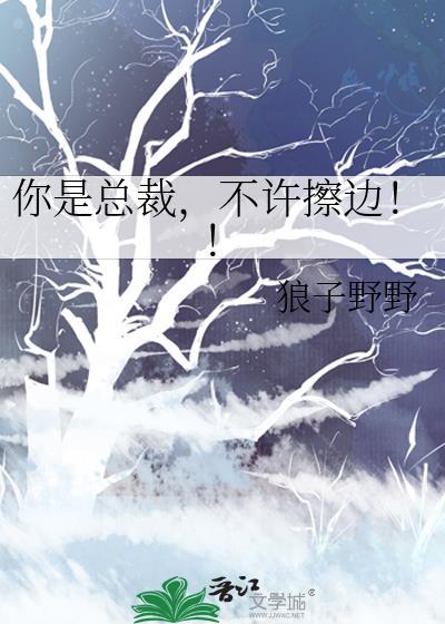 总裁不能是哥哥
