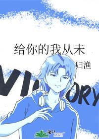 你从未给过我