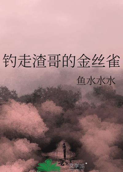 钓走渣哥的金丝雀全文免费阅读正版